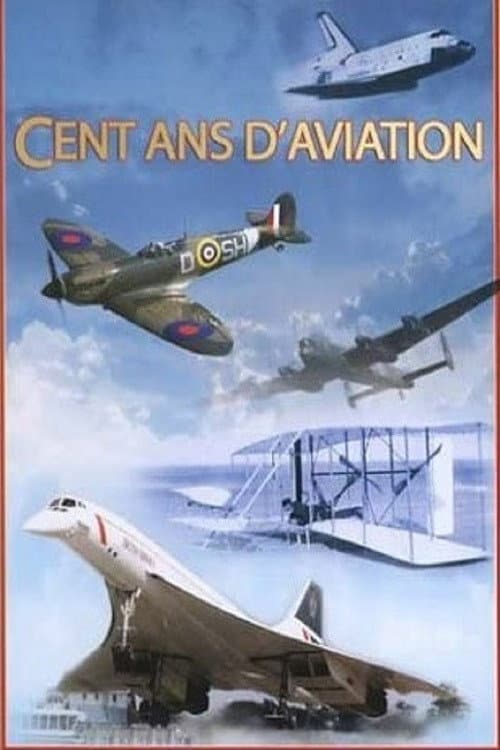 Cent ans d'aviation (2013) poster