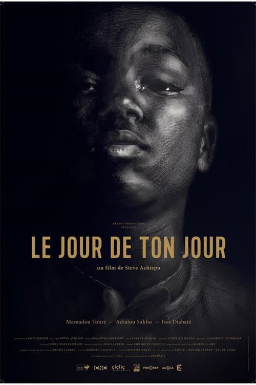 Le jour de ton jour (2017) poster
