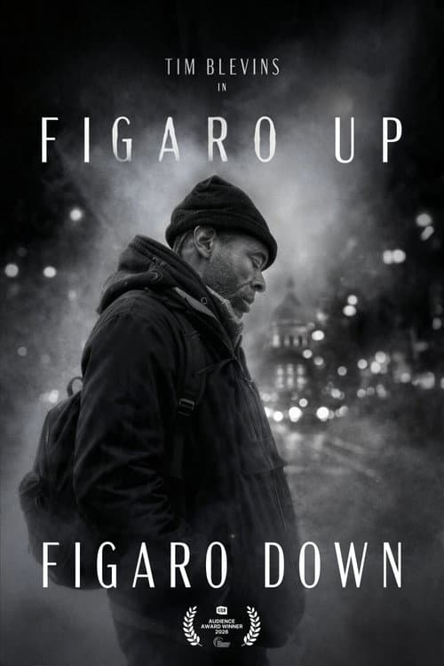 Figaro Up, Figaro Down (2026) poster