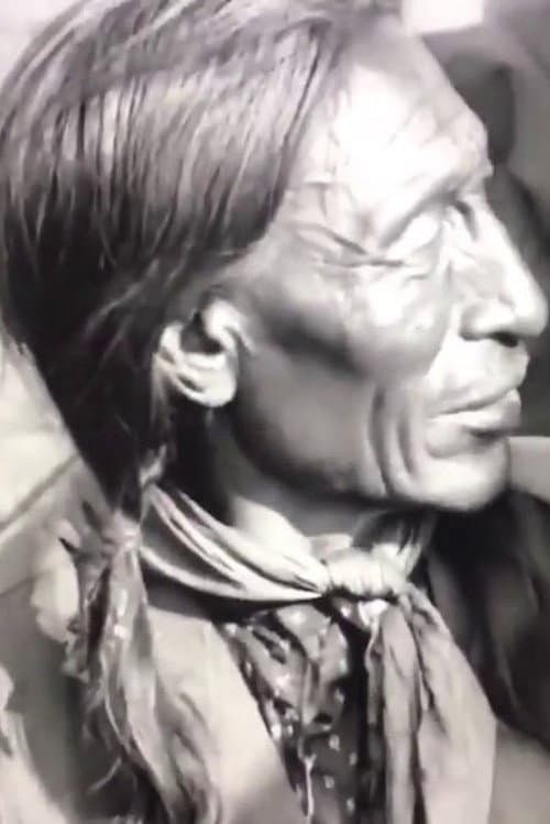 Buffalo Bill and Chief Iron Tail Swap Yarns in the Sign Language (1919) poster