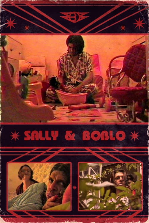 Sally & Boblo (2013) poster