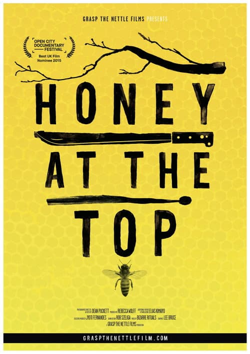 Honey at the Top (2015) poster