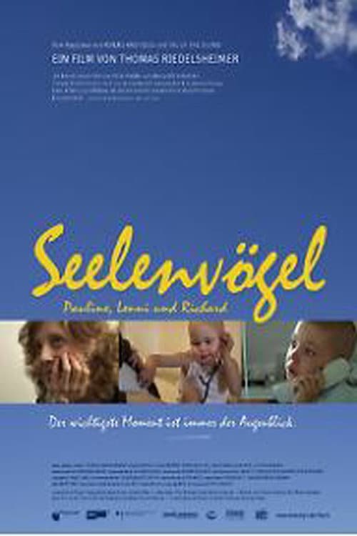 Seelenvögel (2009) poster