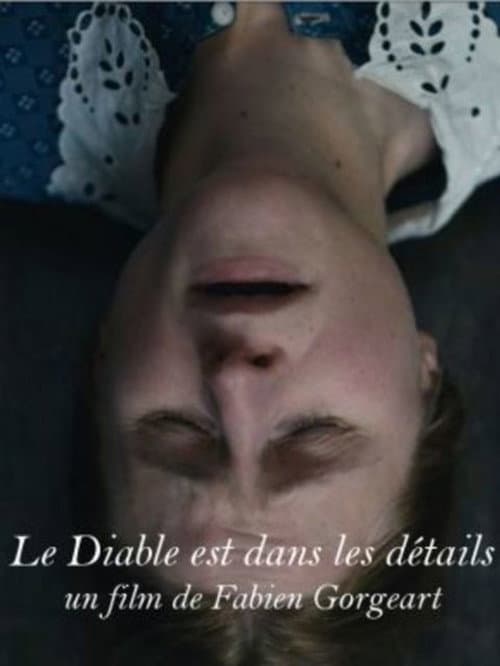 Le diable est dans les détails (2016) poster