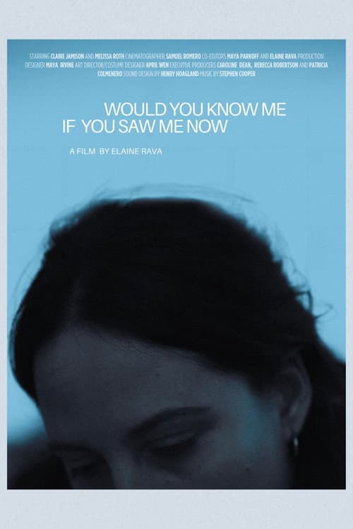 Would You Know Me If You Saw Me Now (2024) poster