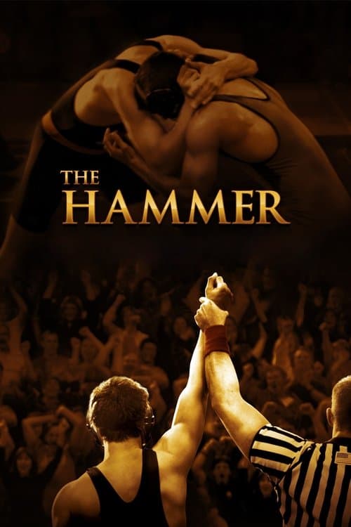 Hamill (2010) poster
