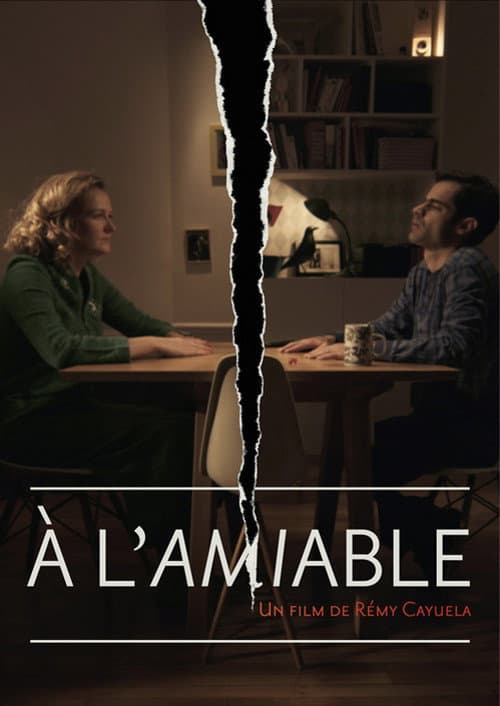 À l'amiable (2014) poster