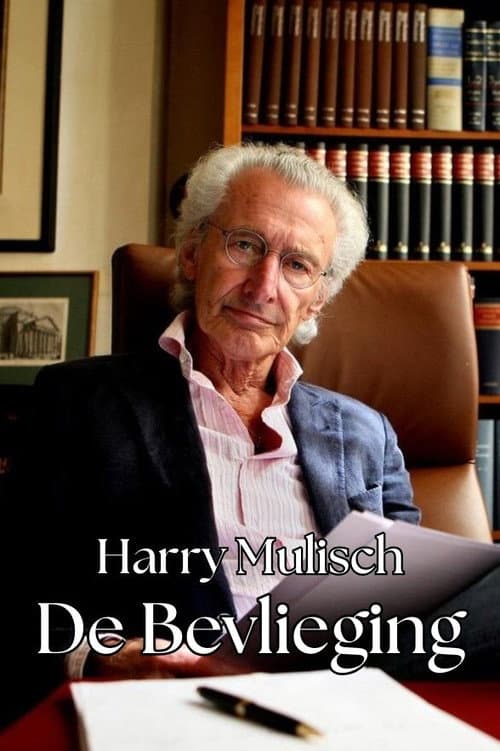 Harry Mulisch en de bevlieging (2008) poster