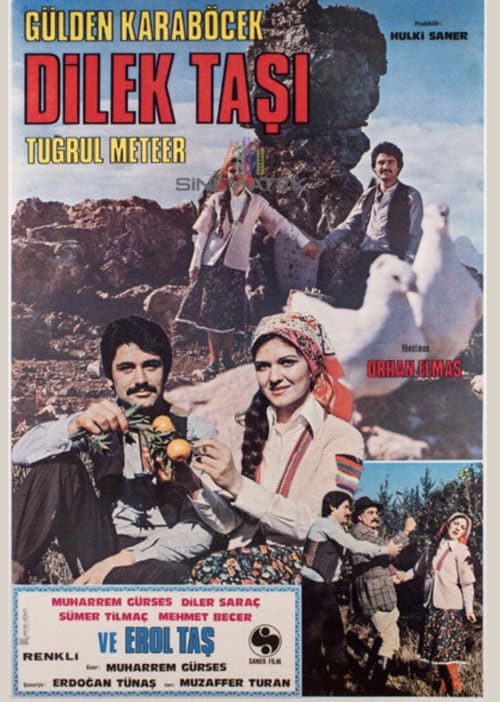 Dilek Taşı (1978) poster
