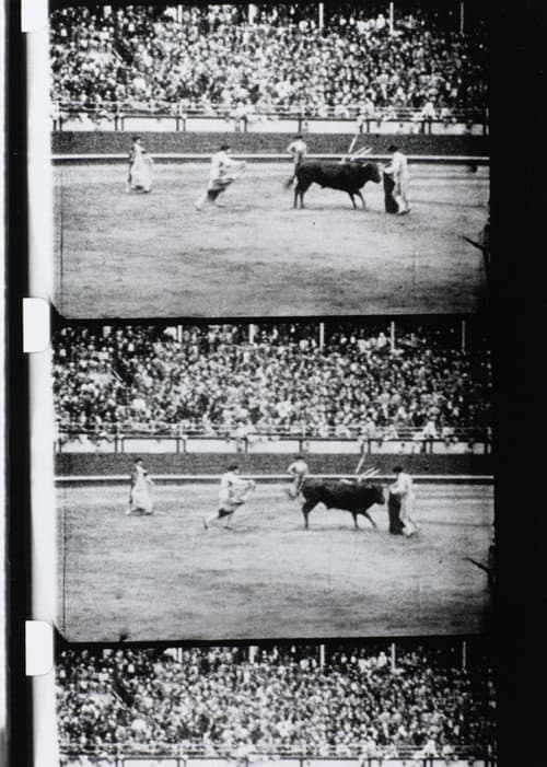 Corrida (1929) poster
