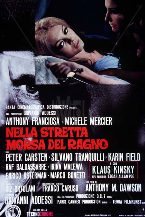 Nella stretta morsa del ragno (1971) poster