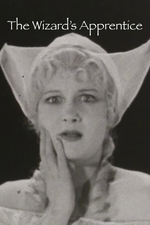 The Wizard's Apprentice (1930) poster