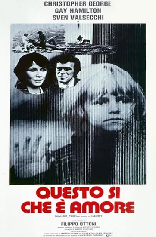 Questo sì che è amore (1978) poster