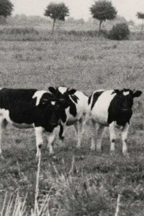 Muhkuh (1968) poster