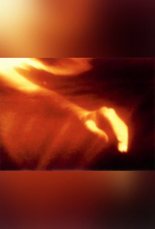 Fire Birth (2002) poster