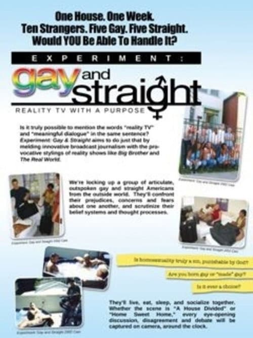 The Experiment: Gay & Straight (2003) poster