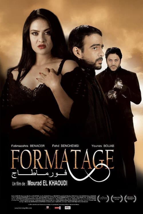 Formatage (2014) poster