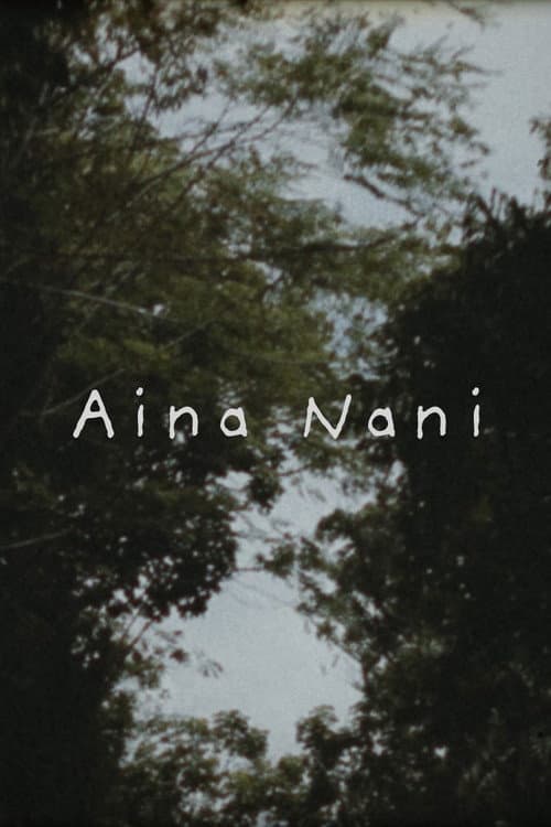 Aina Nani (2023) poster
