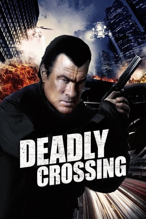 Deadly Crossing (2010) poster