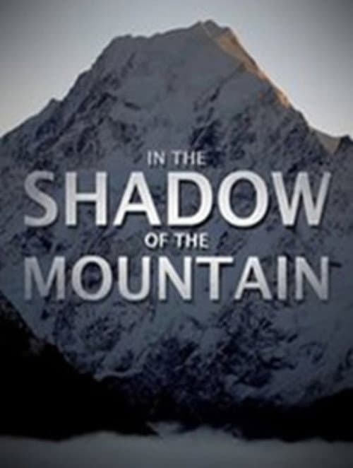 In the Shadow of the Mountain (2011) poster
