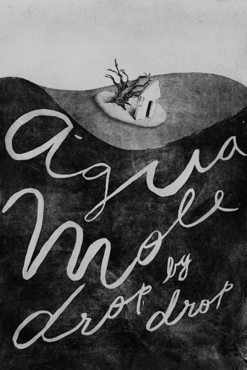 Água Mole (2017) poster