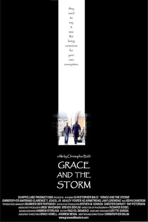 Grace And The Storm (2004) poster
