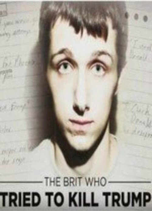 The Brit Who Tried to Kill Trump (2017) poster
