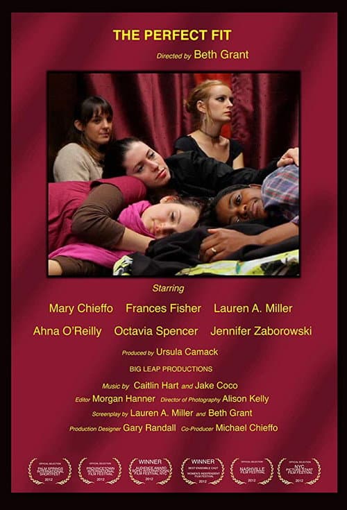 The Perfect Fit (2012) poster
