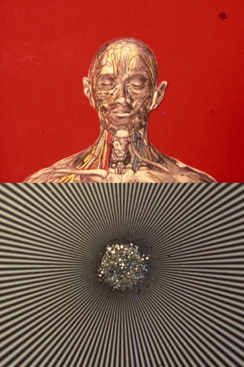 El mensaje es facial (1976) poster