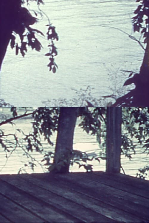 Silently, Bearing Totem of a Bird (1962) poster