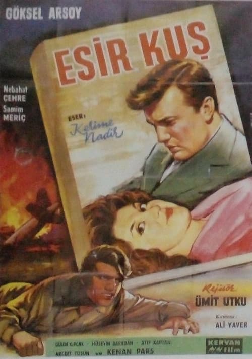 Esir Kuş (1962) poster