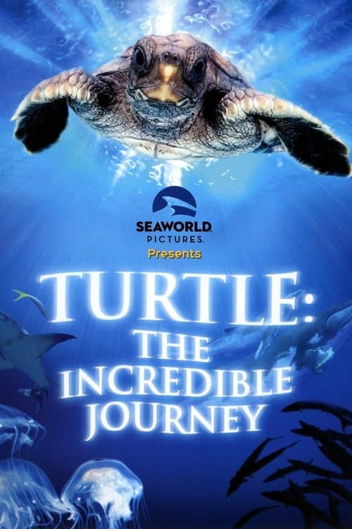 Turtle: The Incredible Journey (2009) poster