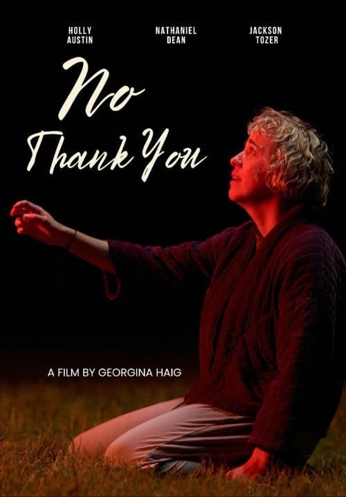 No Thank You (2026) poster