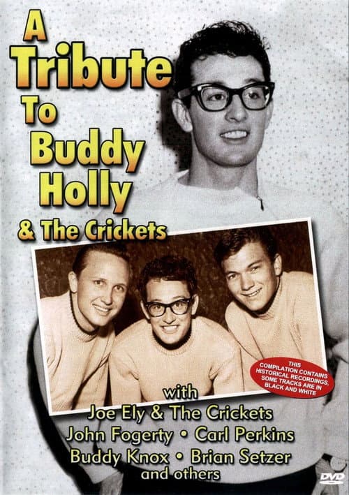 A Tribute To Buddy Holly And The Crickets (2004) poster