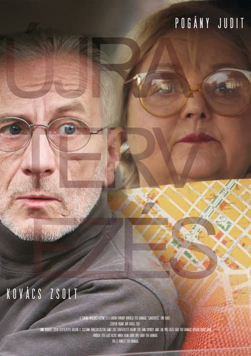 Újratervezés (2013) poster