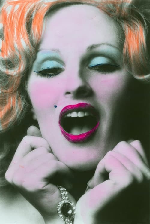 Vivian’s Girls (1973) poster