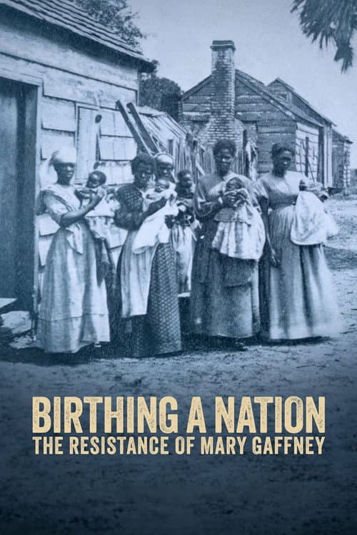 Birthing a Nation: The Resistance of Mary Gaffney (2023) poster