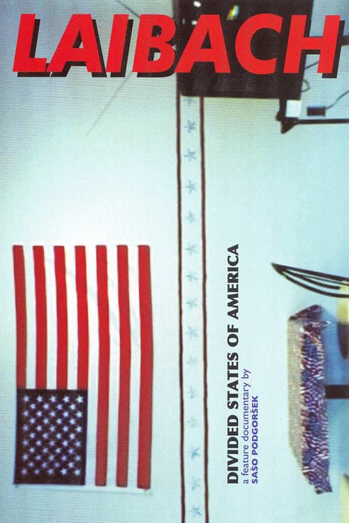 Razdružene države Amerike (2006) poster