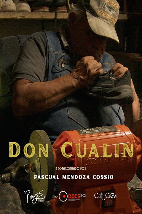 Don Cualín (2025) poster