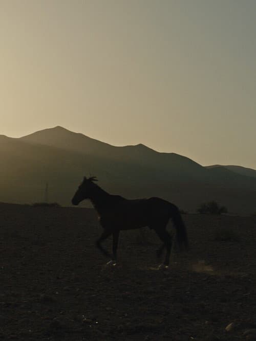 Pourquoi As-Tu Laissé le Cheval à sa Solitude? (2024) poster