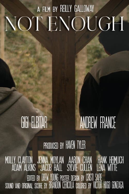 Not Enough (2026) poster