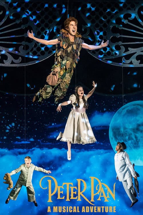 Peter Pan: A Musical Adventure (2020) poster