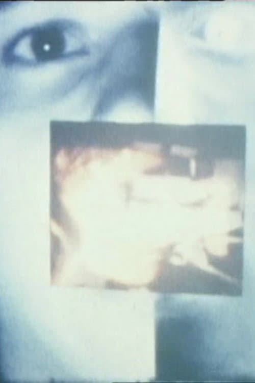 Schermo-Schermo (1978) poster