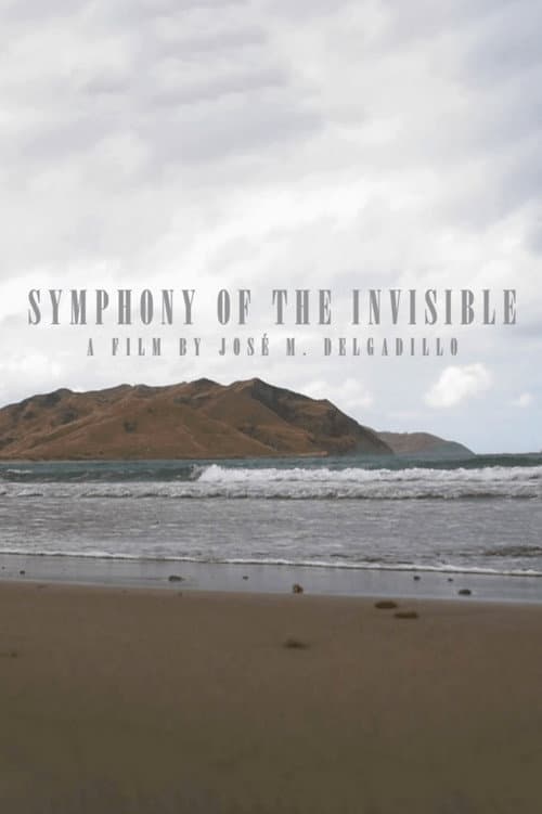 Sinfonía de lo invisible (2020) poster