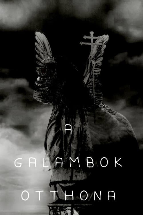 A galambok otthona (2025) poster