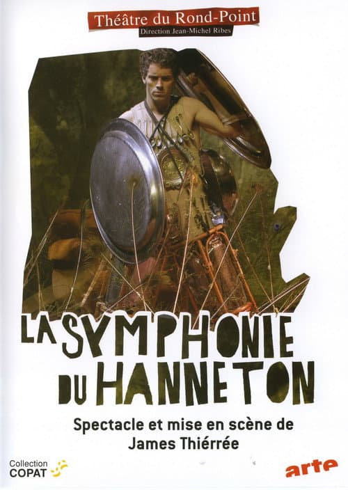 La Symphonie du hanneton (1998) poster