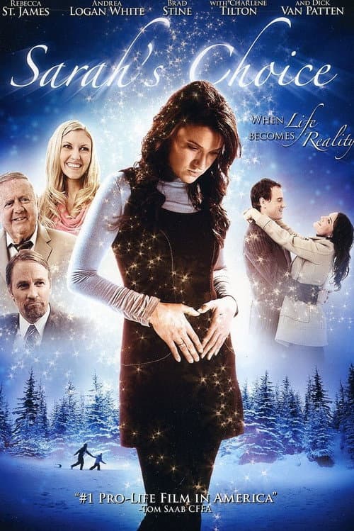 Sarah's Choice (2009) poster