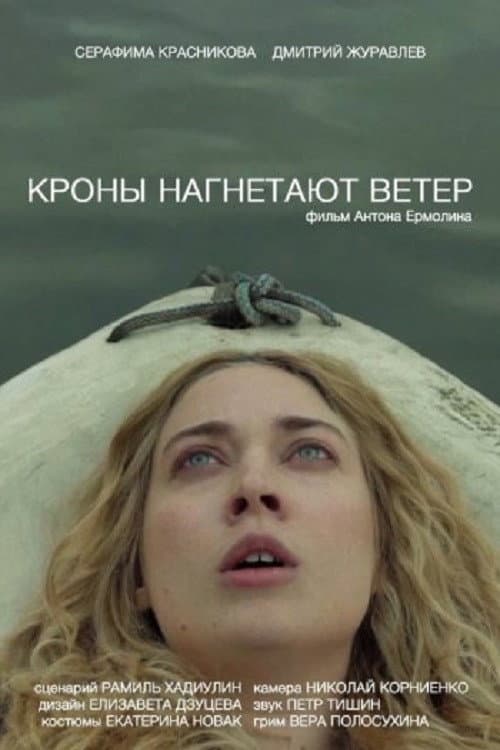 Кроны нагнетают ветер (2023) poster