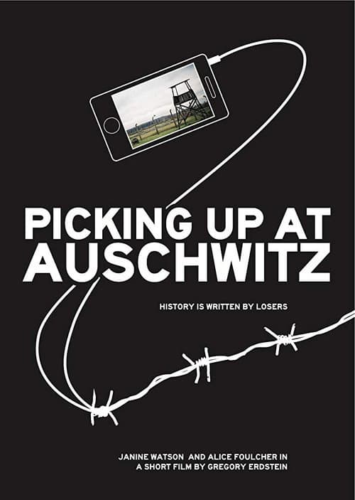 Picking Up at Auschwitz (2012) poster