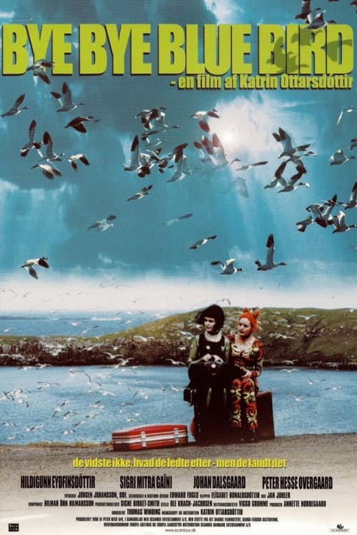 Bye Bye Blue Bird (1999) poster